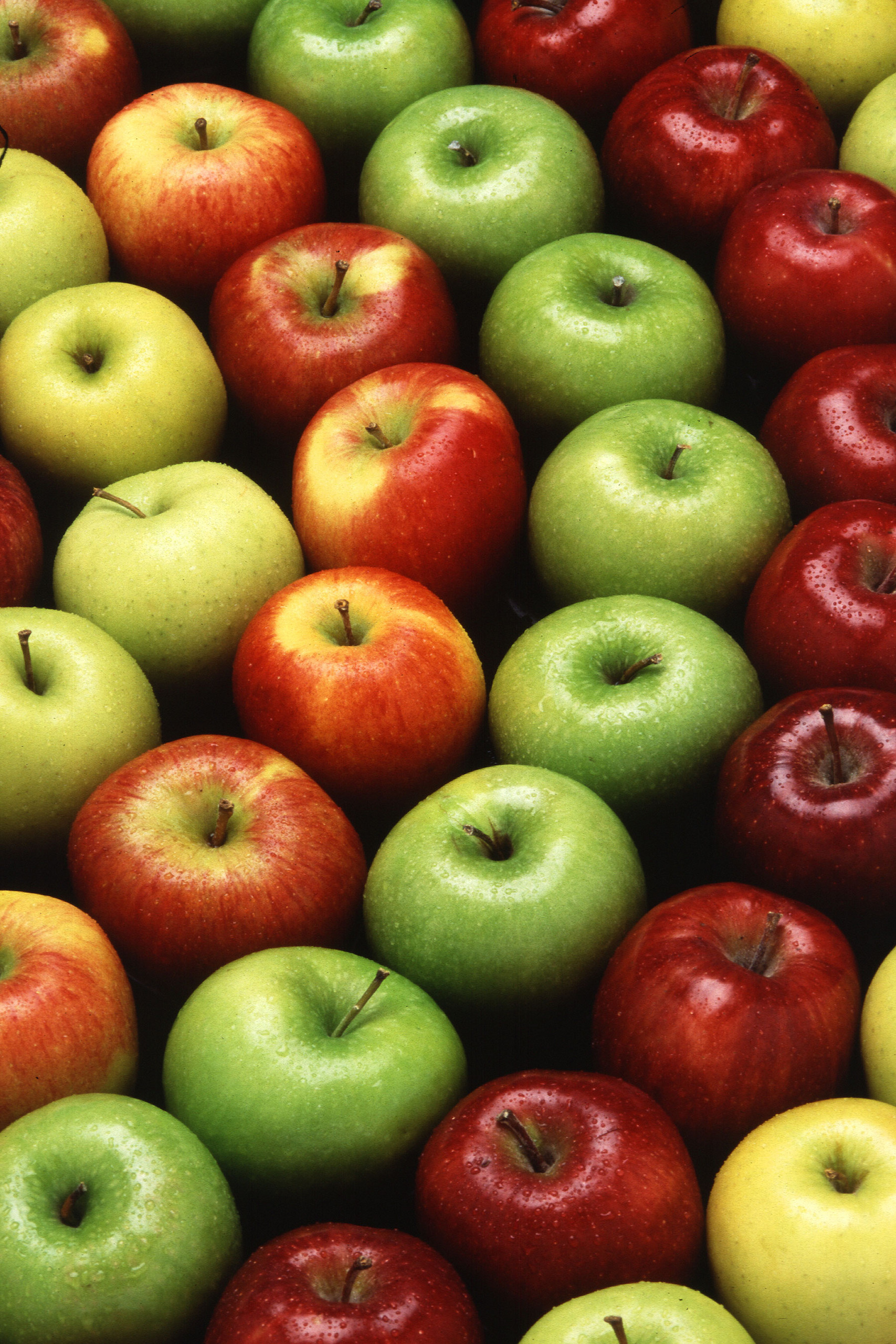 fruits